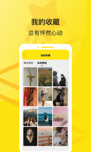 星星壁纸图4